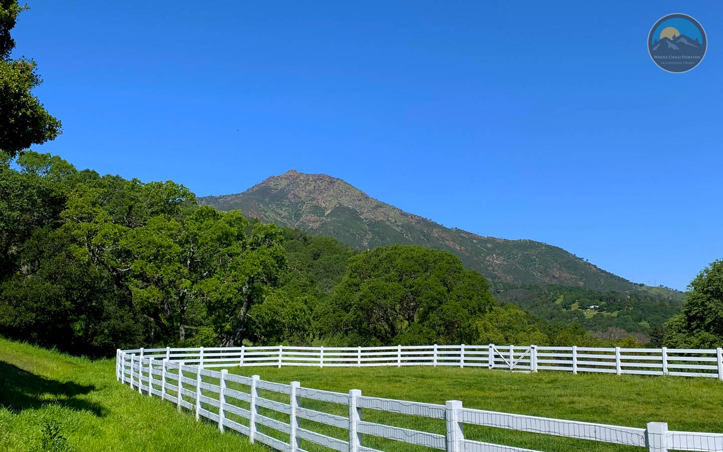 occupational therapy clinic for kids with autism in walnut creek california