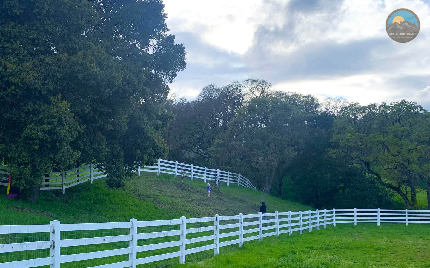 occupational therapy clinic for kids - Nature it's a vital component